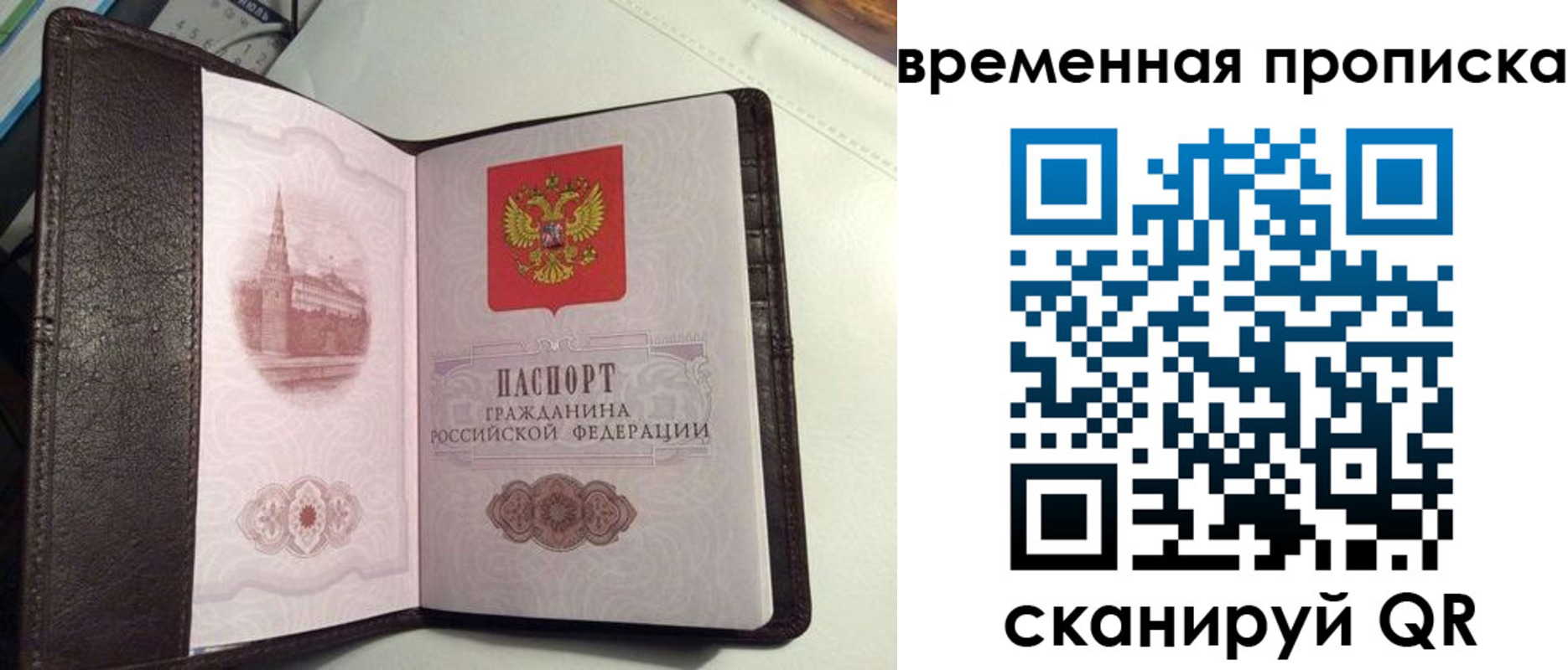 прописка 2025 в Кургане